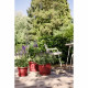 Plant pot Elho rouge 25 x 24,5 x 18 cm