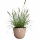 Plant pot Elho Sereh Rond 40 Brown 39 x 33 cm
