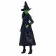 Muñeca Mattel Elphaba