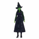 Muñeca Mattel Elphaba