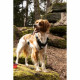 Dog Harness SYMBIOZ Black M