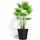 Planter Garden ID