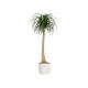 Plant pot Elho White Green Plastic 30 x 30 x 28 cm