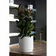 Maceta Autorriego Plastiken   Blanco Ø 48 cm