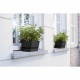 Jardinera Elho   Negro 50 cm Plástico Ovalada