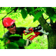 Motosierra Black & Decker Alligator GK1000 550 W (15 cm)