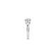 Ladies' Ring Ti Sento 1464ZI/62 22