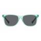 Unisex Sunglasses Polaroid PLD 8058_S