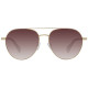 Gafas de Sol Hombre Ted Baker TB1682 57407