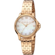 Ladies' Watch Esprit ES1L144M3085