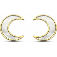 Ladies' Earrings Ti Sento 7935MW