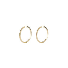 Pendientes Mujer Guess JUBE04193JWYGT-U