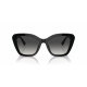 Ladies' Sunglasses Ralph Lauren THE ISABEL RL 8216U