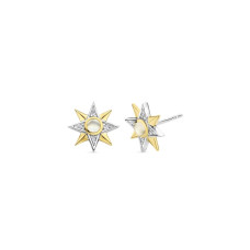 Ladies' Earrings Ti Sento 7932MW