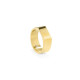 Anillo Hombre Radiant RH000029-26 Dorado 26