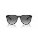 Gafas de Sol Hombre Emporio Armani EA 4210