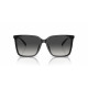 Ladies' Sunglasses Michael Kors CANBERRA MK 2197U