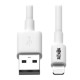 USB to Lightning Cable Eaton M100-006-WH White 1,8 m