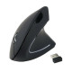 Ratón Ergonómico Óptico Equip 245110 Negro