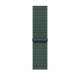 Watch Strap Apple MXL83ZM/A