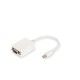 Adaptador DisplayPort a VGA Digitus by Assmann DB-340407-001-W Blanco Negro 15 cm