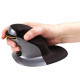 Ratón Inalámbrico Fellowes 9894501 Negro Negro/Plateado