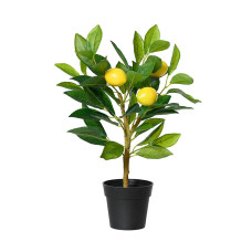 Planta Decorativa Everlands Plástico Limonero 17 x 24 x 43 cm