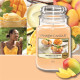 Vela Perfumada Yankee Candle Mango Ice Cream 623 g