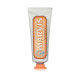 Toothpaste Ginger Mint Marvis Ginger Mint 25 ml