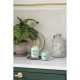 Scented Candle Yankee Candle Aloe & Agave 368 g