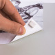 Adhesivos Apli White Tack Masilla (12 Unidades)
