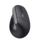 Ratón Ergonómico Óptico Trust Bayo II Negro