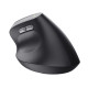 Ratón Ergonómico Óptico Trust Bayo II Negro