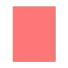 Cartulinas Iris Rosa Rosa claro 50 x 65 cm