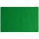 Cartulina Sadipal LR 200 Verde oscuro 50 x 70 cm Texturizada (20 Unidades)