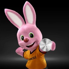 Batteries DURACELL 3V (10 Units)