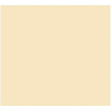 Card Iris Beige 50 x 65 cm