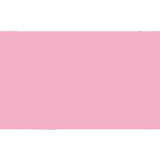 Goma Eva Fama EB19 Rosa claro 2 mm 2,0 mm 50 x 70 cm 10 Unidades