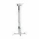 Soporte de Techo para Proyector Aisens CWP01TSE-049 Blanco