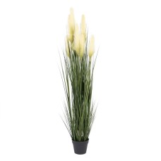 Decorative Plant 57 x 53 x 150 cm Green Cream PVC