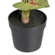 Decorative Plant Red Green PVC 40 x 35 x 55 cm