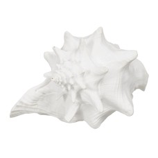 Decorative Figure White Snail 21 x 19 x 13 cm