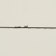 Console White Natural Fir wood MDF Wood 104 x 50 x 78 cm