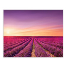 Painting Multicolour 100 x 3 x 80 cm