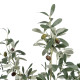 Decorative Plant Polyester Polyethylene Olive tree 56 x 48 x 78 cm