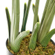 Decorative Plant Polyethylene Plastic Palm tree 45 x 45 x 114 cm