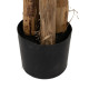 Planta Decorativa Goma Bananera 70 x 70 x 200 cm