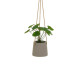 Decorative Plant Polyethylene Cement 23 x 19 x 24 cm