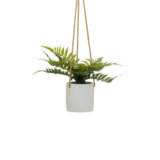 Decorative Plant Polyethylene Cement 30 x 30 x 24 cm