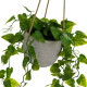 Decorative Plant Polyethylene Cement 23 x 23 x 46 cm